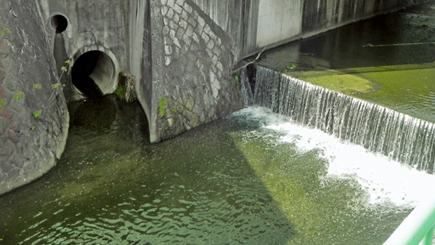 汚れた用水路の水の写真