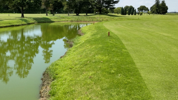 濁ったゴルフ場の池